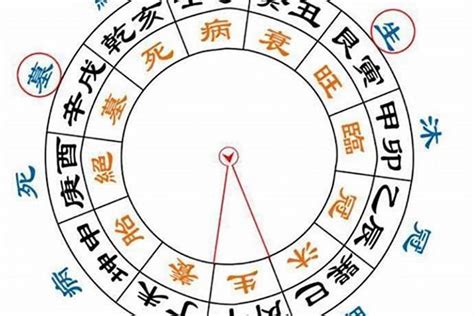 八字正財多|八字中「正財」在年柱、月柱中的特性，對一生運勢的影響